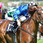 Wild Rain to retire